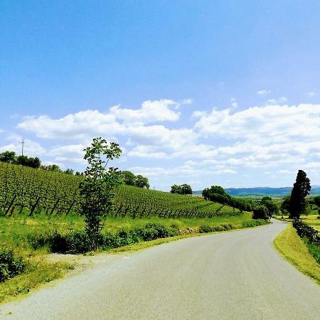 Centralissimo Nel Cuore Del Borgo Суверето Экстерьер фото