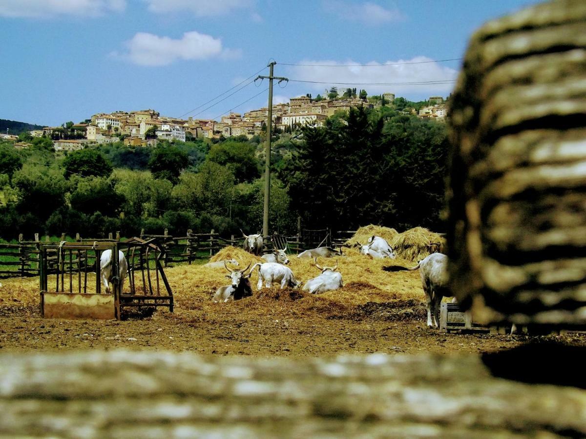 Centralissimo Nel Cuore Del Borgo Суверето Экстерьер фото